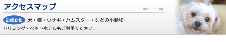 アクセスマップ