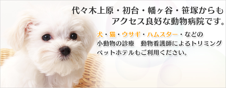 代々木上原・初台・幡ヶ谷・笹塚からもアクセス良好な動物病院です。犬・猫・ウサギ・ハムスター・などの小動物の診療　動物看護師によるトリミング、ペットホテルもご利用ください。