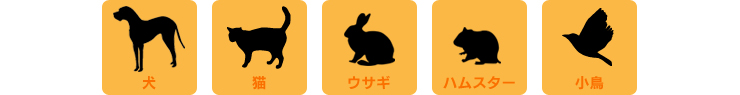 犬　猫　ウサギ　ハムスター　小鳥