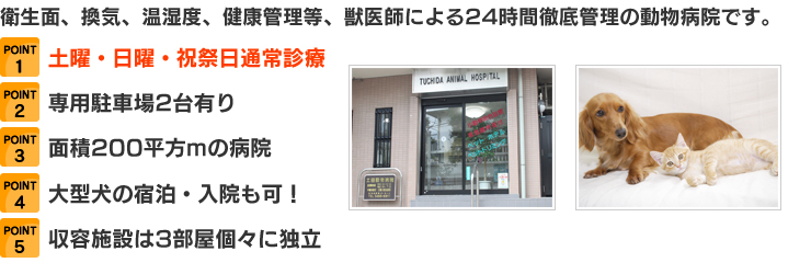 衛生面、換気、温湿度、健康管理等、獣医師による24時間徹底管理の動物病院です。