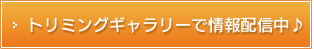 トリミングギャラリーで情報配信中