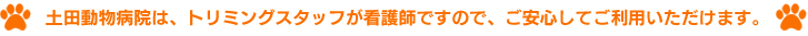 土田動物病院は、トリミングスタッフが看護師ですので、ご安心してご利用いただけます。