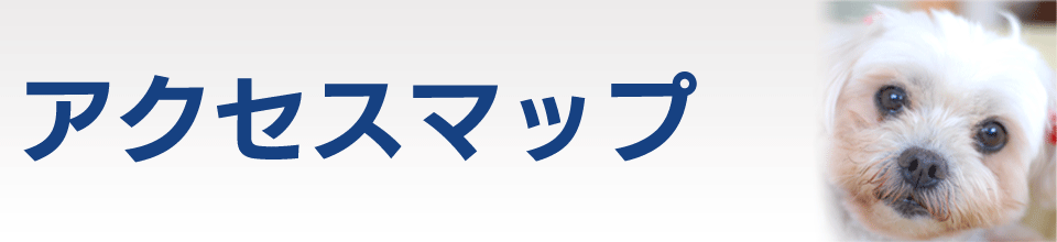 アクセスマップ