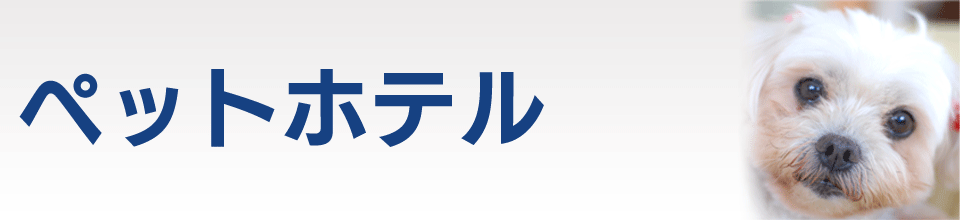 ペットホテル